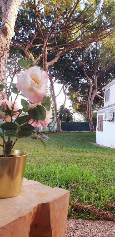 Estudio Na Falesia Albufeira Exterior foto